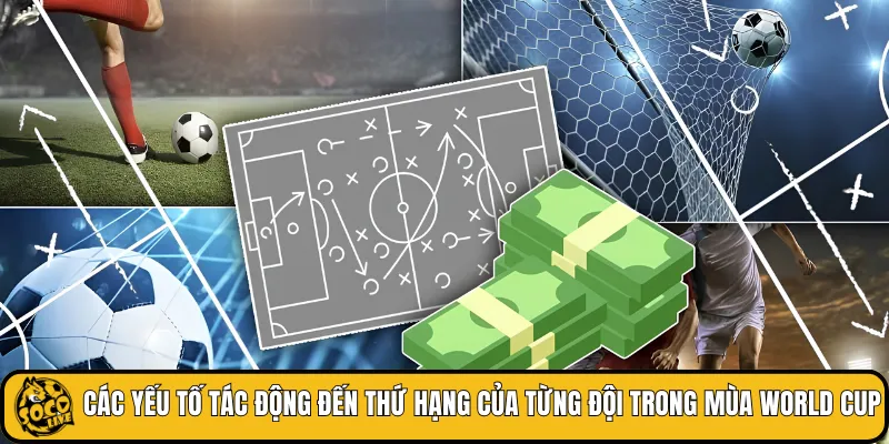 Các yếu tố tác động đến thứ hạng của từng đội trong mùa World Cup
