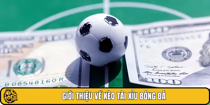 Giới thiệu về kèo tài xỉu bóng đá