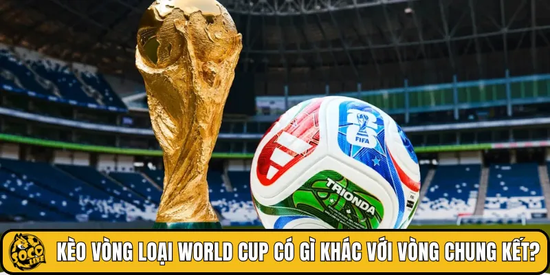 Kèo vòng loại World Cup có gì khác với vòng chung kết?