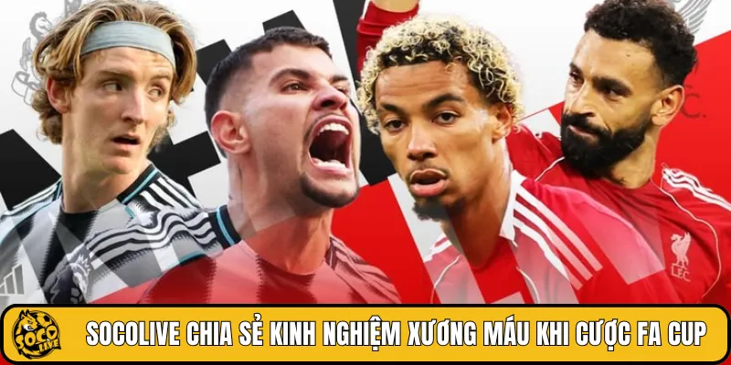 SOCOLIVE chia sẻ kinh nghiệm xương máu khi cược FA Cup