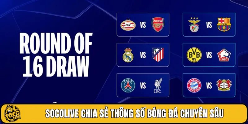SOCOLIVE chia sẻ thông số bóng đá chuyên sâu