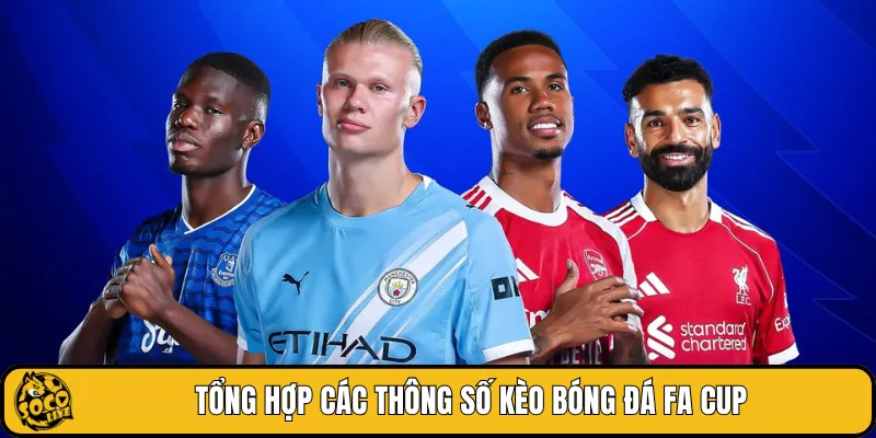Tổng hợp các thông số kèo bóng đá FA Cup